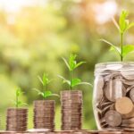 Beginning Investors: How to Invest Money Online